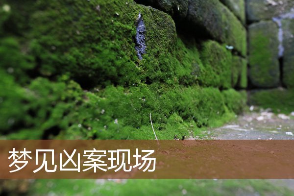 夢見兇案現場_周公解夢