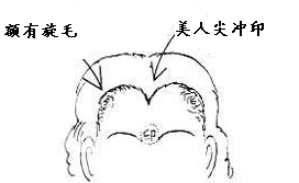 額頭髮鏇算命