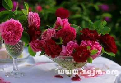 12星座職場被人刁難該怎么辦_十二星座