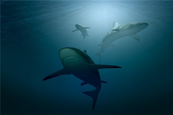 夢到危機意味著什麼_周公解夢