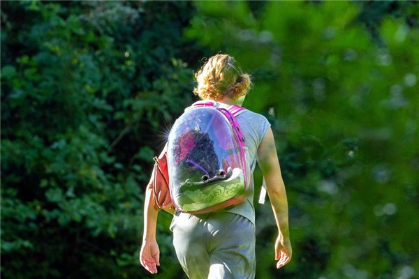 夢到孩子上學遲到有什麼寓意嗎_周公解夢