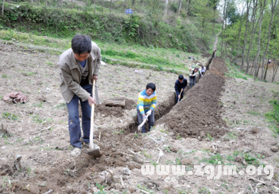 夢見自己在挖水溝