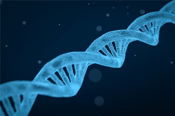 夢到了剪臍帶有什麼說法_周公解夢