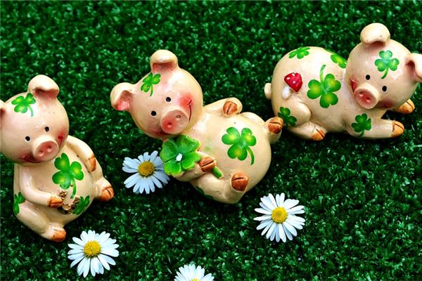 1959年屬豬人2021年運勢及命運 63歲生肖豬在牛年每月運程如何_十二生肖