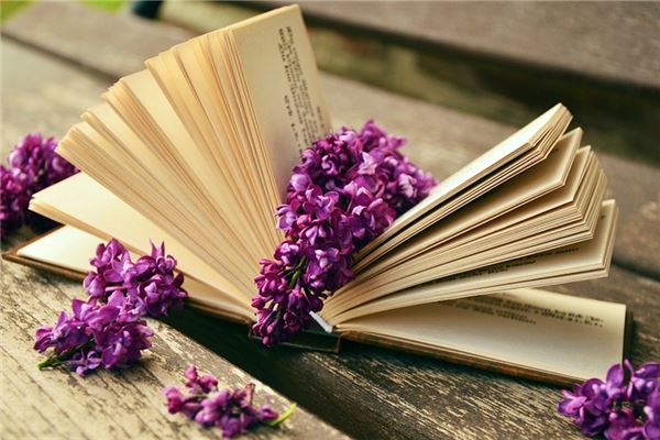 夢到了血書會是什麼預兆_周公解夢