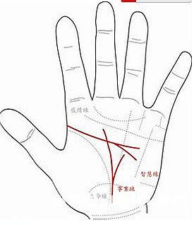 白手起家的掌紋圖解！