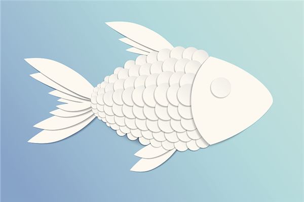夢見很大的魚_周公解夢
