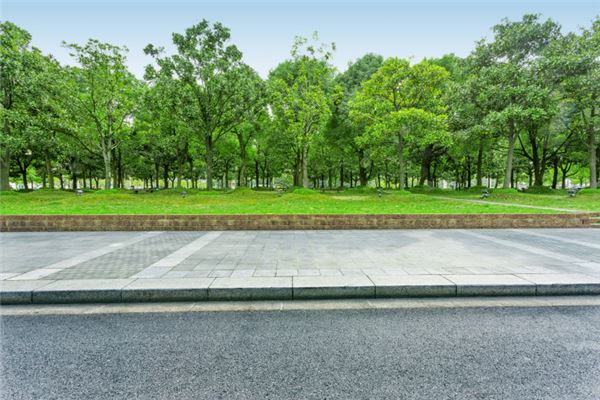 女人夢見綠樹_周公解夢