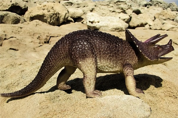 夢見孕婦恐龍會有什麼預兆_周公解夢