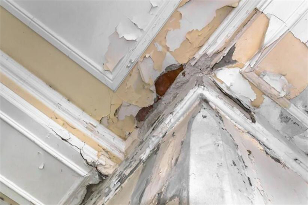 夢到了房漏代表什麼_周公解夢