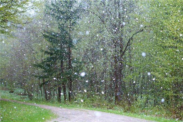 夢見下雨雪意味著什麼_周公解夢