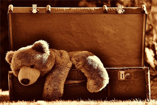 夢到了泰迪熊被綁了啥意思_周公解夢