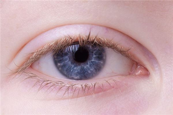 夢見左眼皮一直跳會是什麼預兆_周公解夢