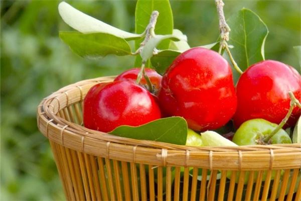 夢見吃櫻桃_周公解夢