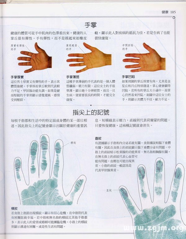 《手相學習百科》：手相健康記號