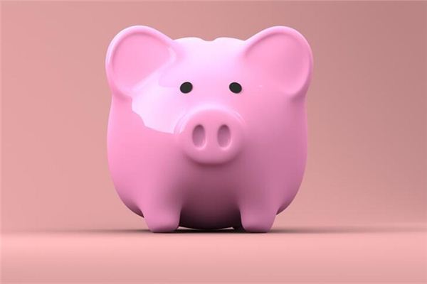 屬相豬的人性格怎么樣_十二生肖