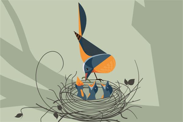 夢見一窩幼鳥_周公解夢