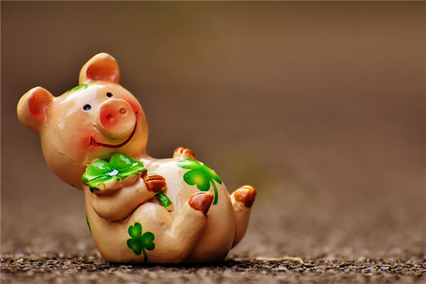 1971年10月屬豬的好不好_十二生肖