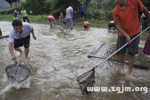 夢見在海里抓魚