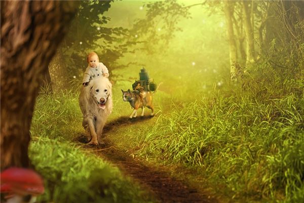 夢見狗說人話_周公解夢