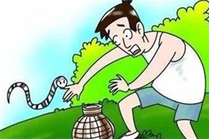 夢見別人被蛇咬了_周公解夢