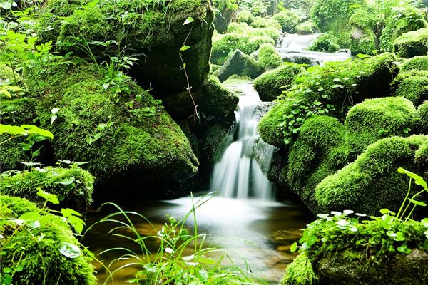 夢見水到流怎麼樣_周公解夢