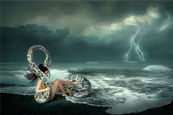 夢見自己和蛇打架廝殺_周公解夢