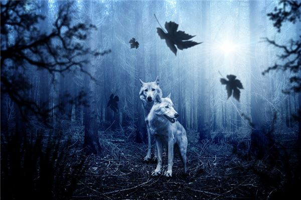 夢見狼_周公解夢