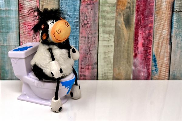 夢到自己拉屎在地上_周公解夢