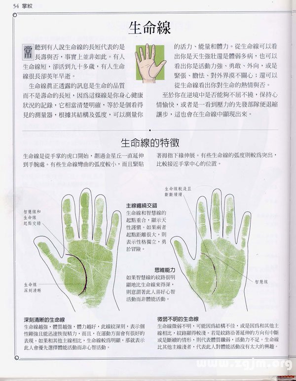 《手相學習百科》：生命線