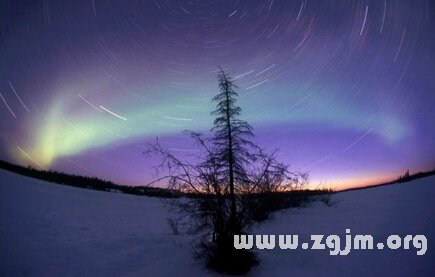 沒錢也愛沾花惹草的星座男_十二星座