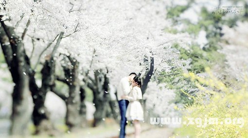 生肖虎最佳結婚對象_十二生肖
