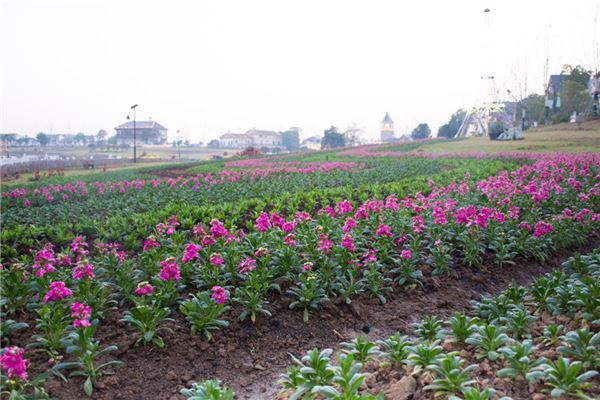 夢到地塌陷是什麼意思_周公解夢