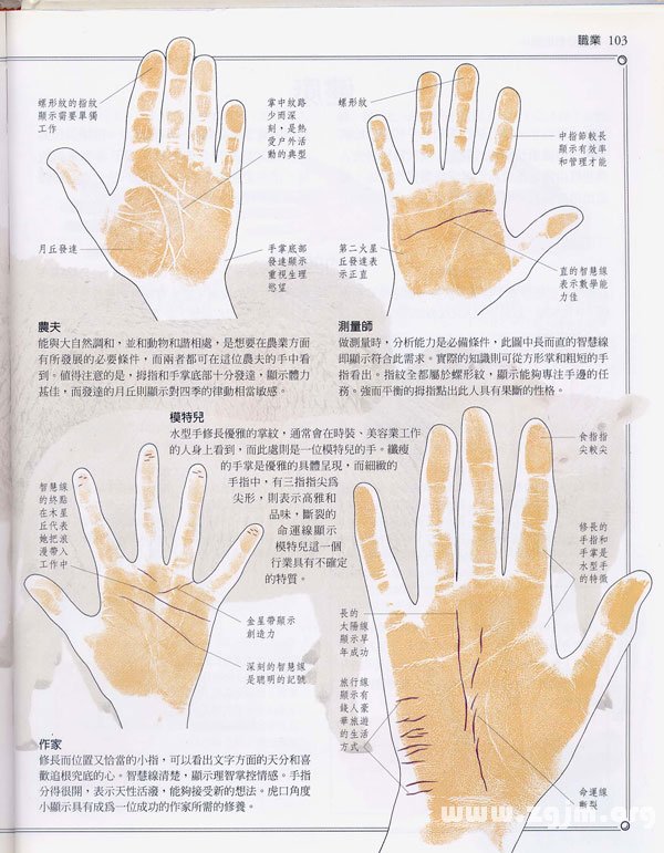 《手相學習百科》：手相看事業、職業