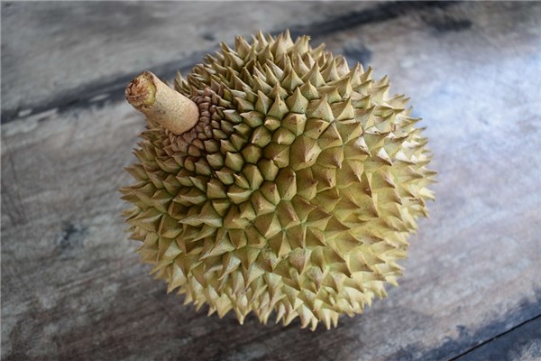 夢到了孕婦榴槤是吉兆嗎?_周公解夢