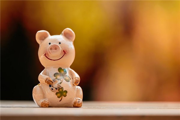 夢見打死豬怎麼樣_周公解夢