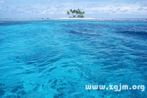 夢見海洋 大海