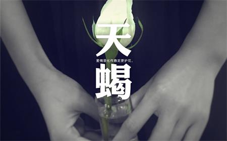 如何應付天蠍座的冷戰_十二星座