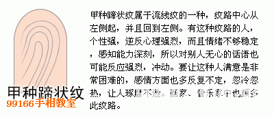 手相圖解大全：13、指紋類型全分析_看相大全