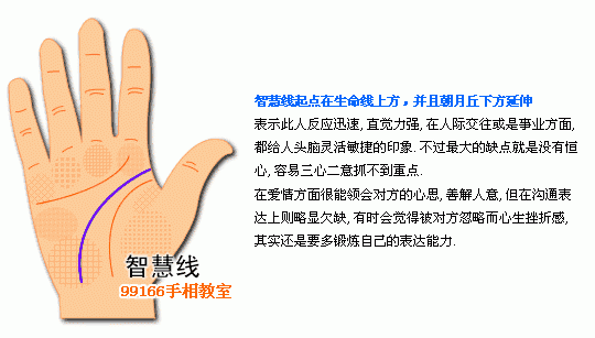 手相圖解大全：5、智慧線看個性_看相大全