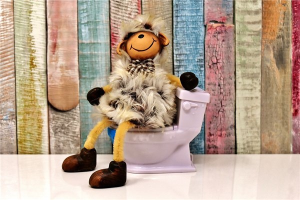 夢到了坐馬桶有什麼寓意嗎_周公解夢