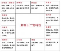 紫微斗數排盤怎么看