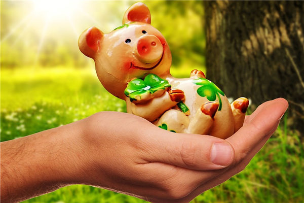 夢見蛇和豬會是什麼預兆_周公解夢