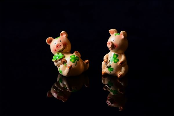 1983年屬豬人2021年運勢及命運 39歲生肖豬在牛年每月運程如何_十二生肖