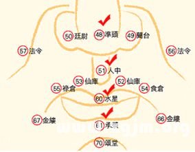 峰生水起面相學：第14課 法令_看相大全