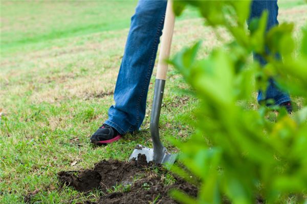 夢見挖坑_周公解夢