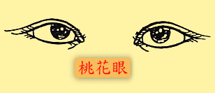 眼睛：桃花眼