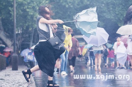 夢見大風大雨