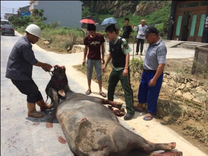 夢見被人開槍打死了