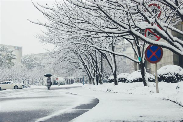 夢見飄雪花_周公解夢